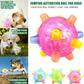 💥BUY 2 GET 1 Free💥JUMPING ACTIVATION BALL FOR DOGS