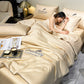 🔥Summer Hot Sale🔥Free Shippping❄️Summer Simple Ice Silk Quilt