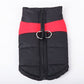 🐕Winter Warm Clothes Zipper Waterproof Dog Vest(Size:S-7XL) ✨ Buy 2 Get 10% OFF✨