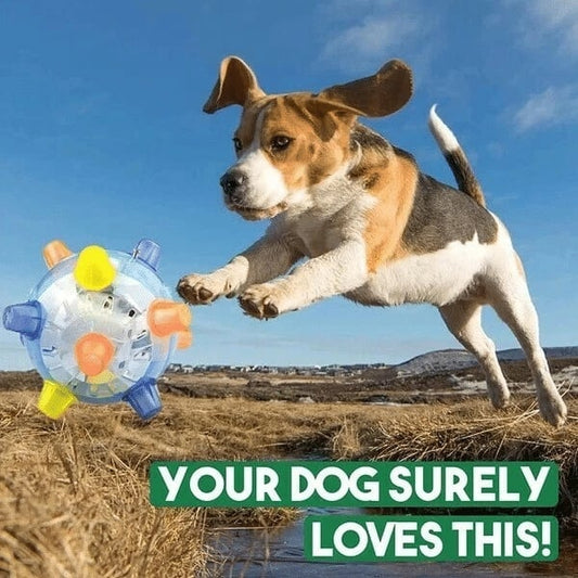💥BUY 2 GET 1 Free💥JUMPING ACTIVATION BALL FOR DOGS