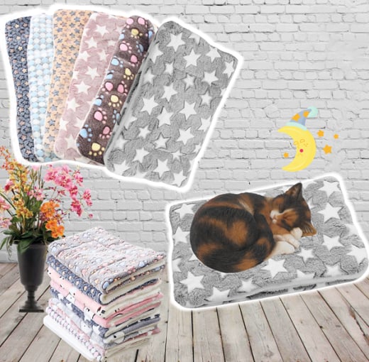 🐱Hot Sale 49% OFF - Cosy Calming Cat Blanket🎁Buy 2 Save 10%&Free Shipping