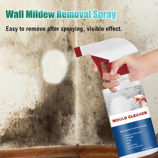 🔥New Year Sale - Buy 2 Get 1 Free🔥Mould & Mildew Removing Foam Spray