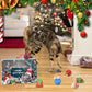 🎄Last Day Sale 50% OFF🎁2025 Christmas Countdown Cat&Dog Toys Advent Calendar🐾🥳
